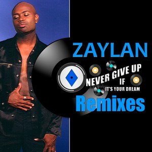 Never Give Up(If It's Your Dream)[feat. Brenda O.R. Love] (School of Hardknox Remix)
