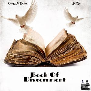 Book Of Discernment (Explicit)