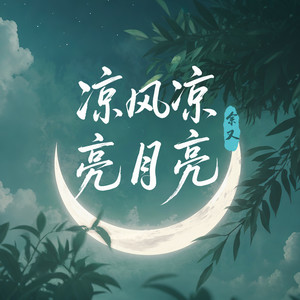 凉风凉 亮月亮 (DJ版)封面