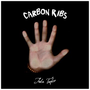 Carbon Ribs