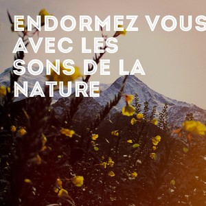 Endormez-vous avec les sons de la nature