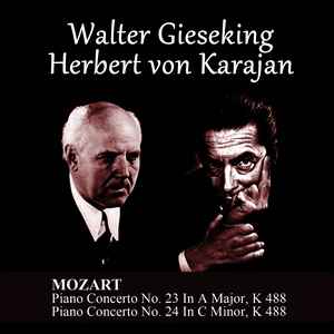 Piano Concerto No. 23 In A Major, K 488: I. Allegro