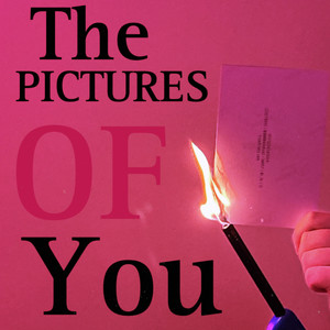 The Pictures of You