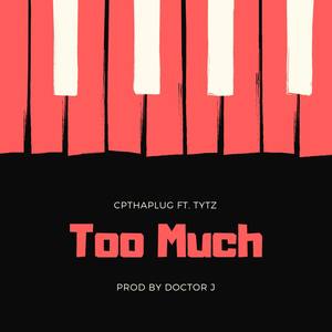 Too Much (feat. TyTz) [Explicit]