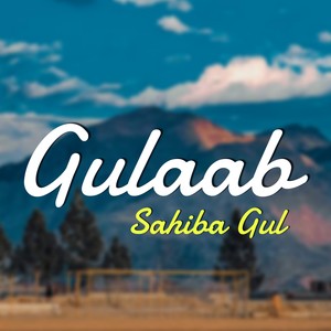 Gulaab