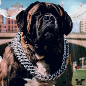 The Big Dog's Tape (Explicit)