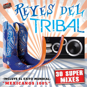 Reyes del Tribal "30 Super Mixes"