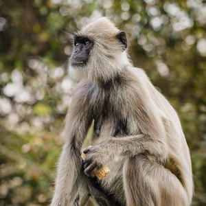 Treat You Better (Mixtape)