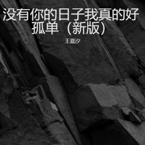 没有你的日子我真的好孤单 (新版)