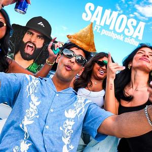 Samosa Song 2 (Remix)
