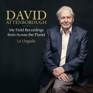 La Llegada: My Field Recordings from Across the Planet