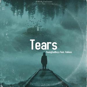 Tears (feat. Vxlious) [Explicit]