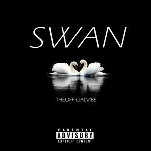 Swan