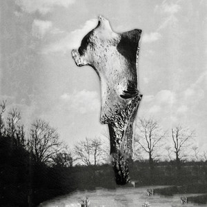 Year of Traffic Light