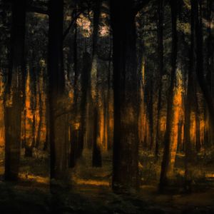 Harmonic Haven Serenade