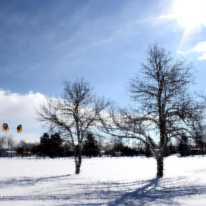 lost cause (feat. 20prettyhusky) (Explicit)