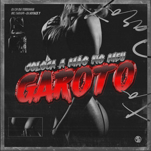 Coloca a Mão no Meu Garoto (Remix) [Explicit]