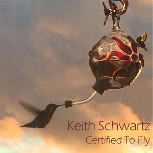 Certified to Fly (Instrumental)