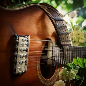 Chords of Comfort: Soothing Guitar Music