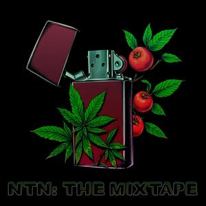 NTN: The Mixtape (Explicit)