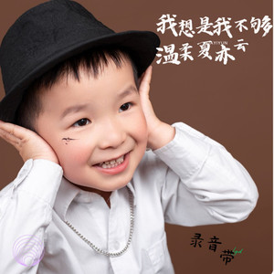 我想是我不够温柔