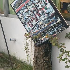 水果茶 demo version