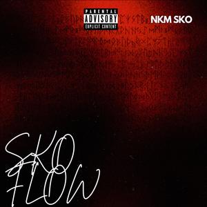 SKO FLOW (Baby drill flow remix) [Explicit]