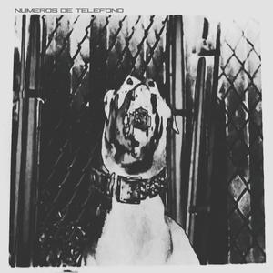 NºS DE TELÉFONO (Explicit)