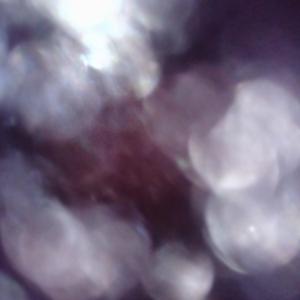 64 EarlyMorningBeats