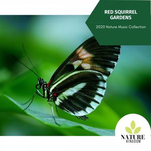 Red Squirrel Gardens - 2020 Nature Music Collection