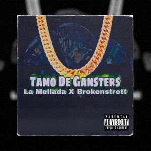 Tamo De Gansters(feat. Brokenstrett)