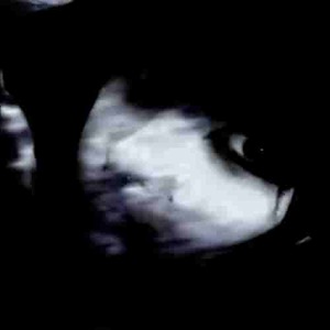 corpse maxxing #meetme@thecrimescene (Explicit)