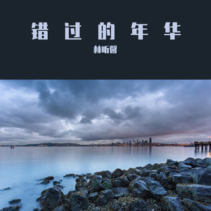 我怕来者不是你