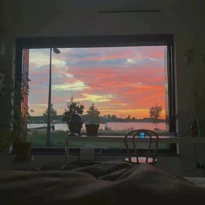 飞鸟与雾