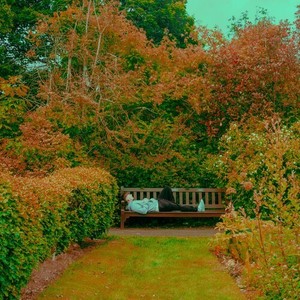 KFC Chicken Wings (Explicit)