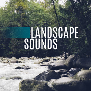 Landscape Sounds - Sounds Wonderful, Imitation of Nature, Listen to Music, Noise is Best, Help with Disease, Cure the Twenty-first Century, Human Body is an Instrument