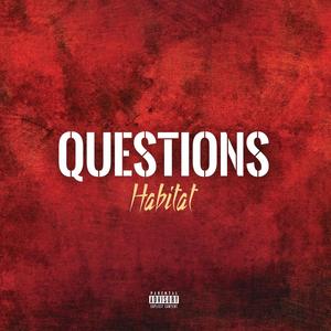 Questions (Explicit)