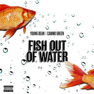 Fish out of Water (Explicit)