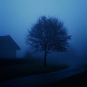 distorted thoughts (sped up)