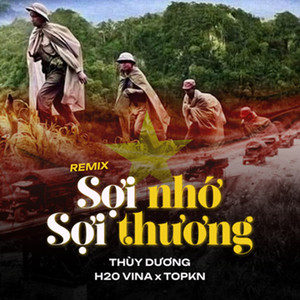 Thuy Duong - Sợi Nhớ Sợi Thương (Remix)