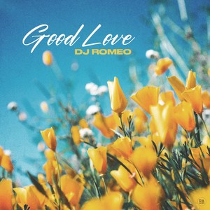 Good Love (Extended Mix)