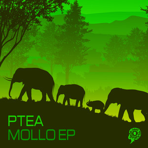 Bofelong (Original Mix)