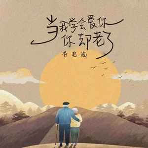 当我学会爱你,你却老了