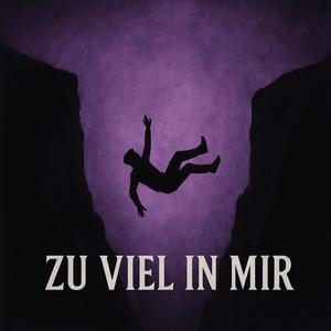 Zu viel in mir (Explicit)
