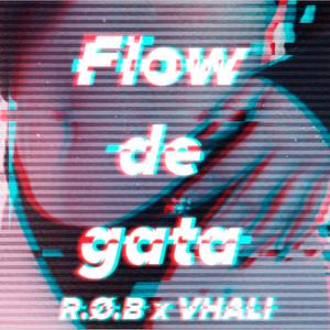 Flow de Gata(feat. Vhali) (Explicit)