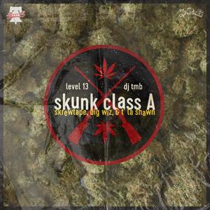 Skunk Class (A) [feat. T' la Shawn, Big Wiz & Skrewtape] [Explicit]