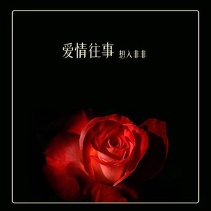 爱情往事封面