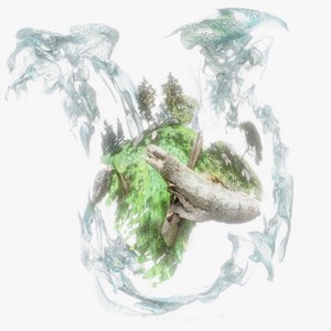 Bols - Portal Serenade