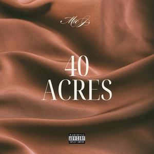 40 Acres (Explicit)