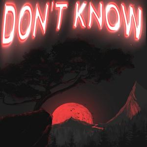Don't Know (feat. lordxn) (Explicit)